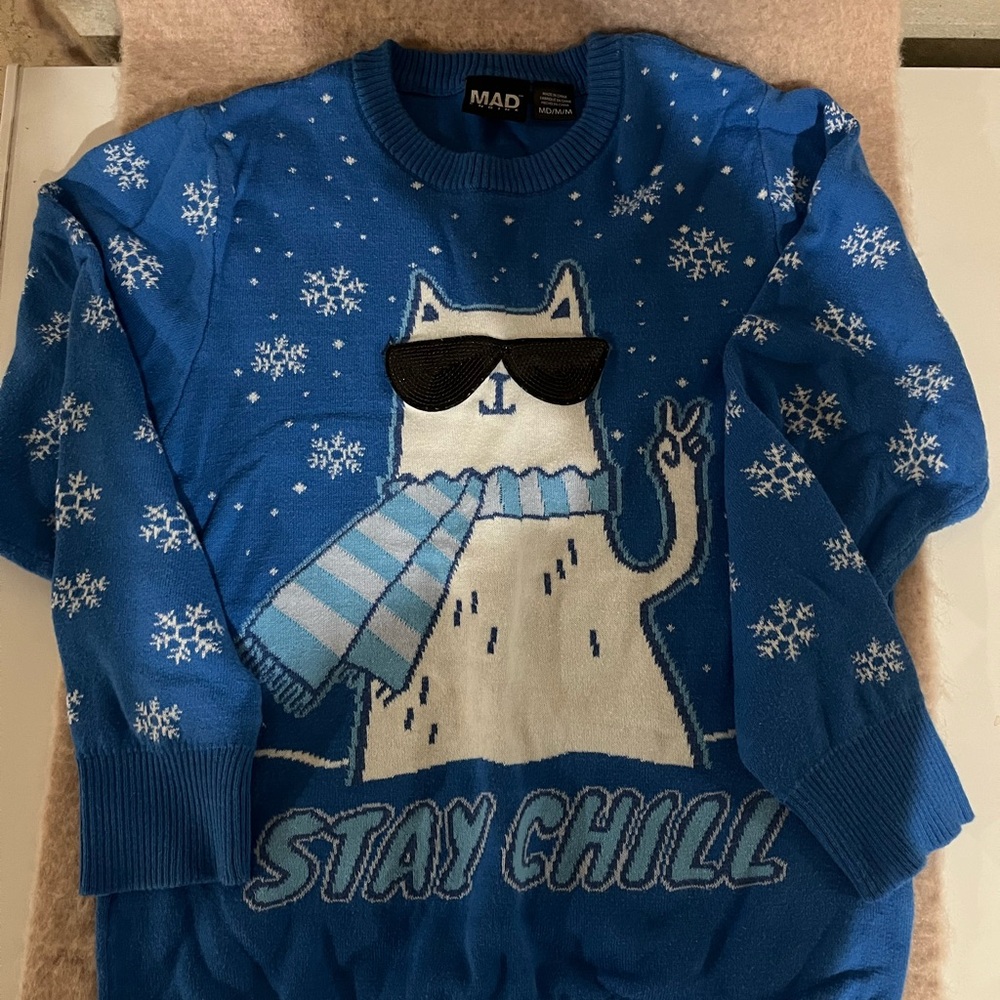 Ugly Christmas sweater with cat and Chill on it. Size medium 10/12